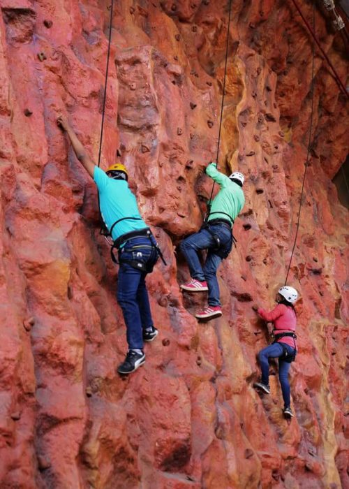 Climbing Wall 22