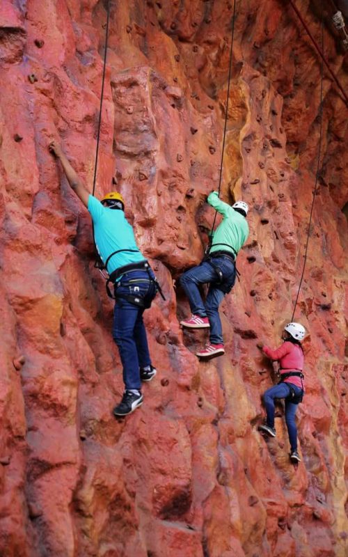 Climbing Wall 22