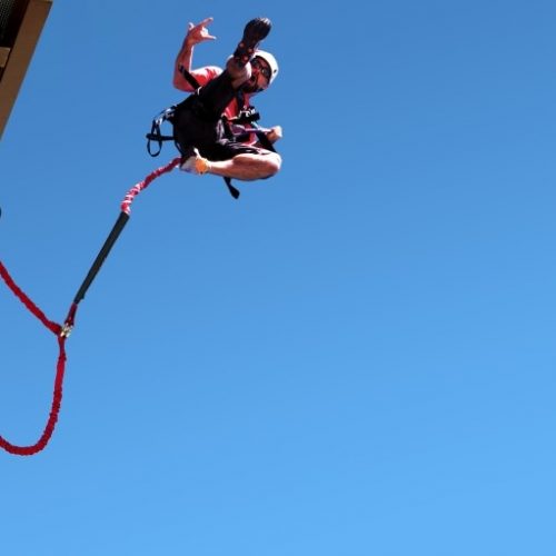 flightline-free-fall009 flightline-free-fall009